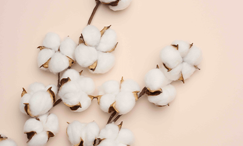 Summer: 10 Expert Tips from Chris&Alley - Chris&Alley®