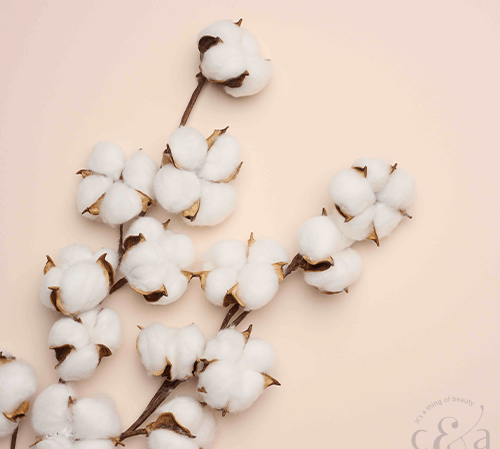 Summer: 10 Expert Tips from Chris&Alley - Chris&Alley®