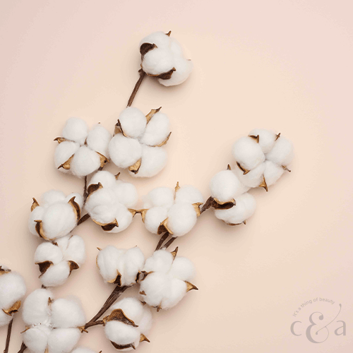 Transitioning Your Skin Care Routine from Winter to Spring/Summer: 10 Expert Tips from Chris&Alley - Chris&Alley®