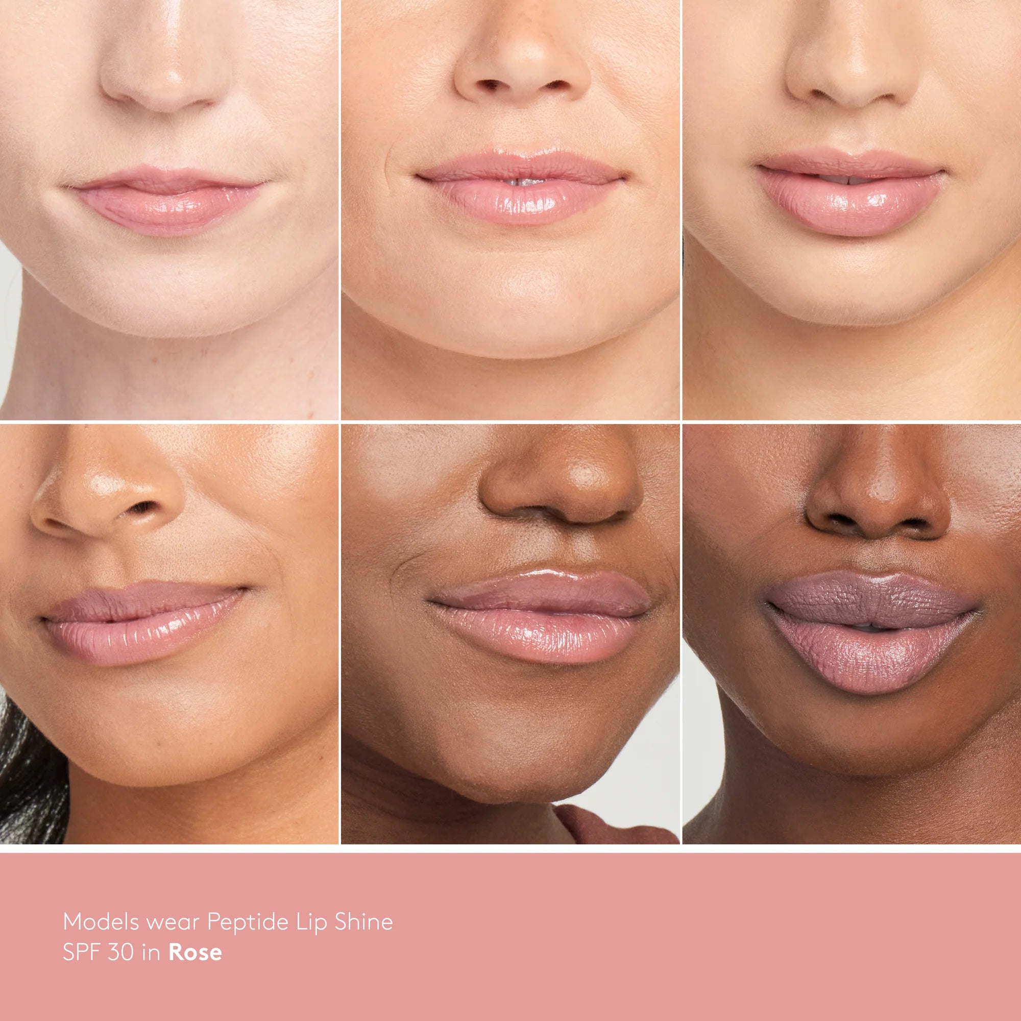 Colorescience Peptide Lip Shine SPF30 - Rose