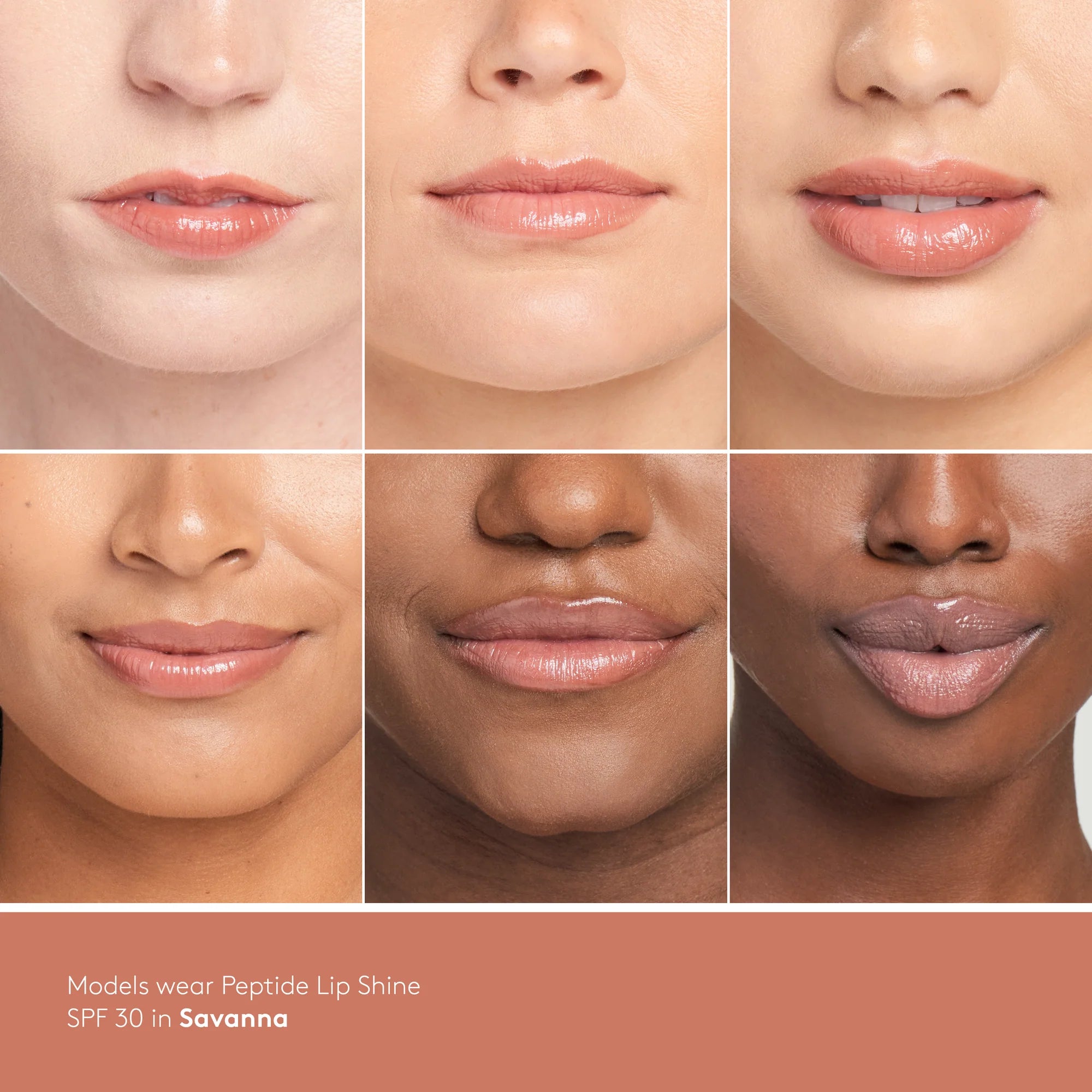 Colorescience Peptide Lip Shine SPF30 - Savanna