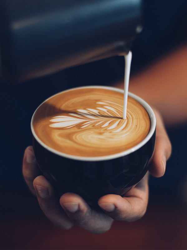 perfectly poured cappuccino by the chris and alley barista mobile